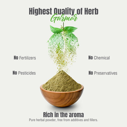 Gurmar Powder Leaves Powder Gymnema Sylvestre Support Healthy Sweet Level Non GMO, Organic, Vegan 230 GMS Nirvana Guru