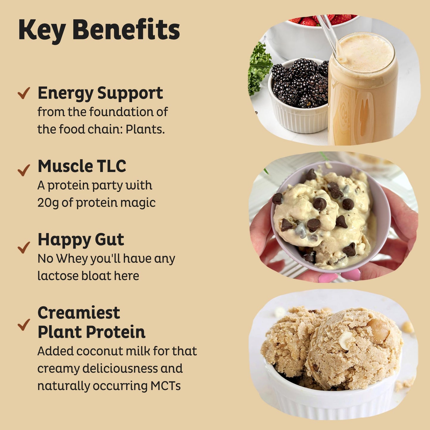 KOS Vegan Protein Powder Erythritol Free, Vanilla USDA Organic - Pea Protein Blend, Plant Based Superfood Rich in Vitamins & Minerals - Keto, Dairy Free - Meal Replacement for Women & Men, 28 Servings - Nirvana Guru