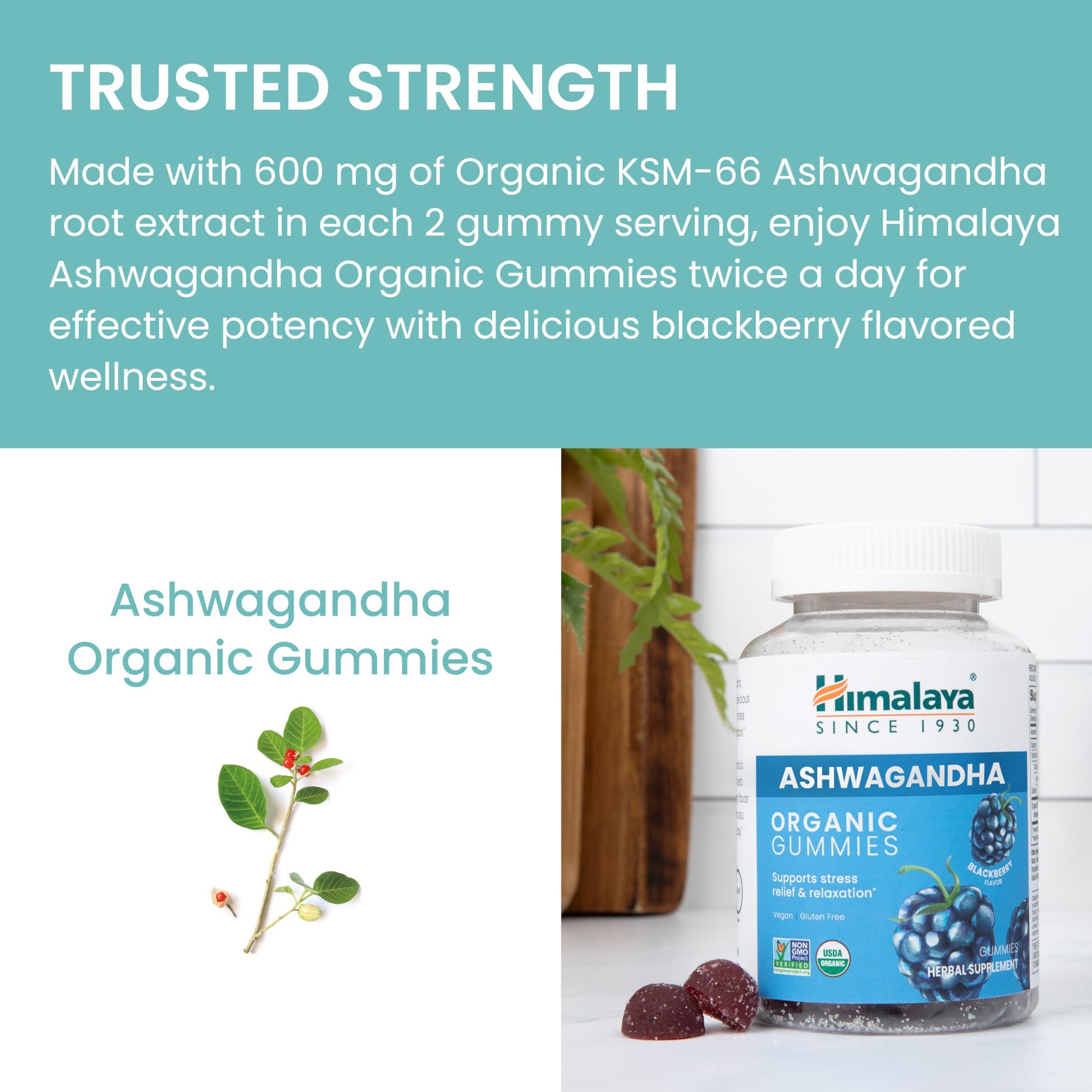 Himalaya Organic Ashwagandha, 120 Day Supply, Herbal Supplement for Stress Relief, Energy, Occasional Sleeplessness, Excipient Free, Organic, Non-GMO, Vegan, Gluten Free, 670 mg, 60 Caplets, 2 Pack - Nirvana Guru