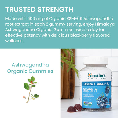 Himalaya Organic Ashwagandha, 120 Day Supply, Herbal Supplement for Stress Relief, Energy, Occasional Sleeplessness, Excipient Free, Organic, Non-GMO, Vegan, Gluten Free, 670 mg, 60 Caplets, 2 Pack - Nirvana Guru