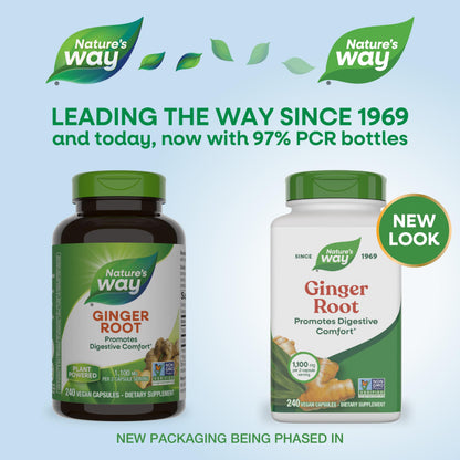 Nature's Way Ginger Root, Promotes Digestive Comfort*, Reduces Motion-Related Nausea*, 1,100 mg Per 2-capsule Serving, Non-GMO Project Verified, Vegan, 240 Capsules (Packaging May Vary) Nirvana Guru