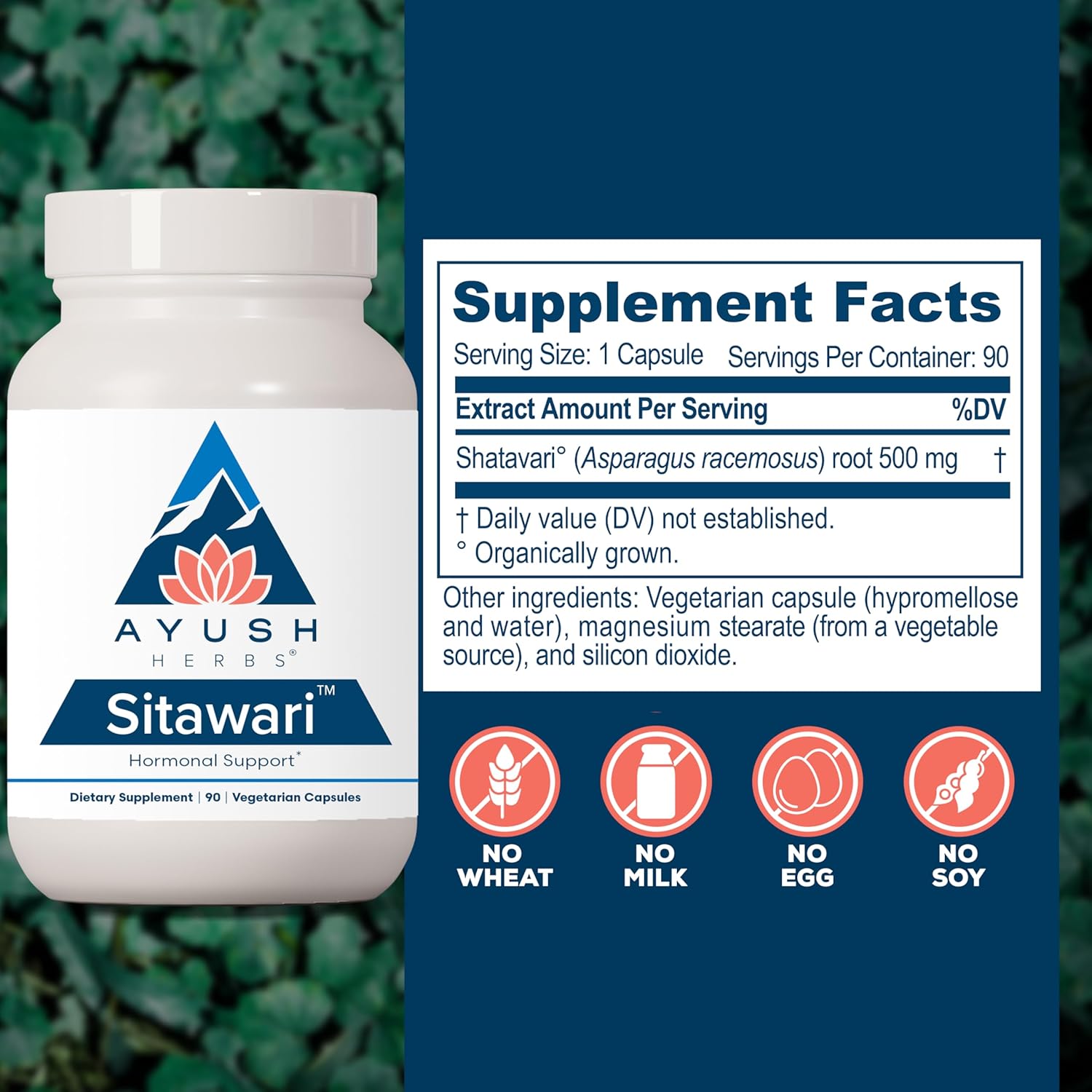 Ayush Herbs Sitawari - Shatavari Capsules for Women, Shatavari Root Supplement, Hormone Balance for Women, Natural Female Reproductive Support - 90 Vegetarian Capsules (1 Count) Nirvana Guru