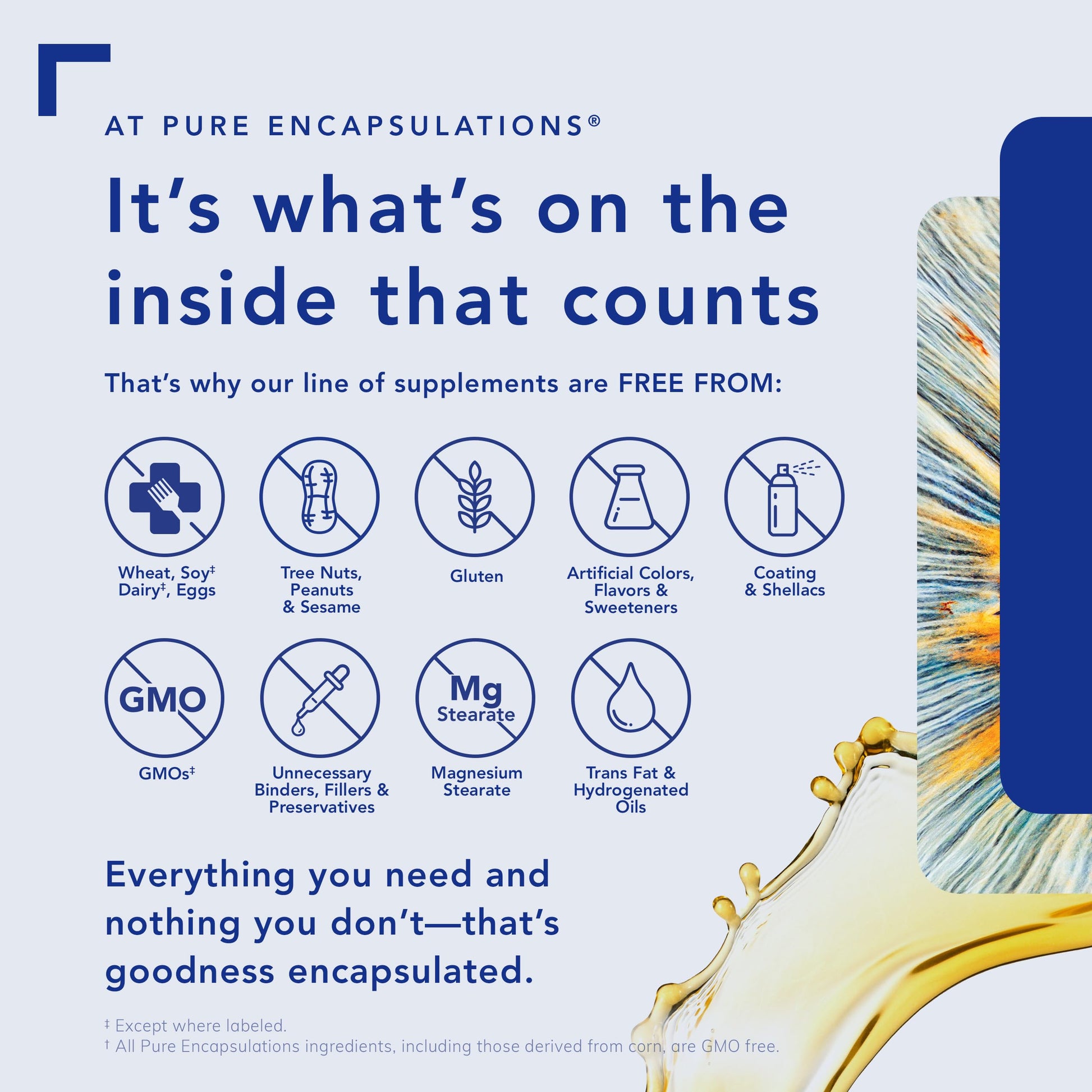 Pure Encapsulations Relora | Hypoallergenic Supplement Promotes Healthy Cortisol and DHEA Production and Moderates Occasional Stress | 60 Capsules - Nirvana Guru