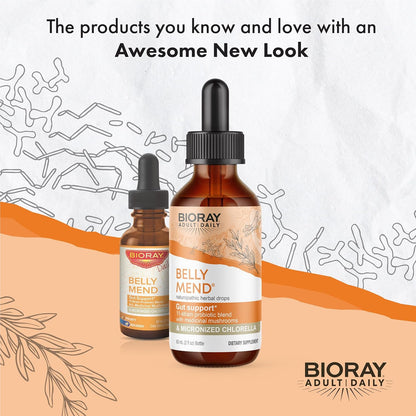 BIORAY Daily Belly Mend - 2 fl oz - 11-Strain Probiotic Blend with Medicinal Mushrooms - Supports Healthy Gut & Bowel Functions - Non-GMO, Vegetarian, Gluten Free Nirvana Guru