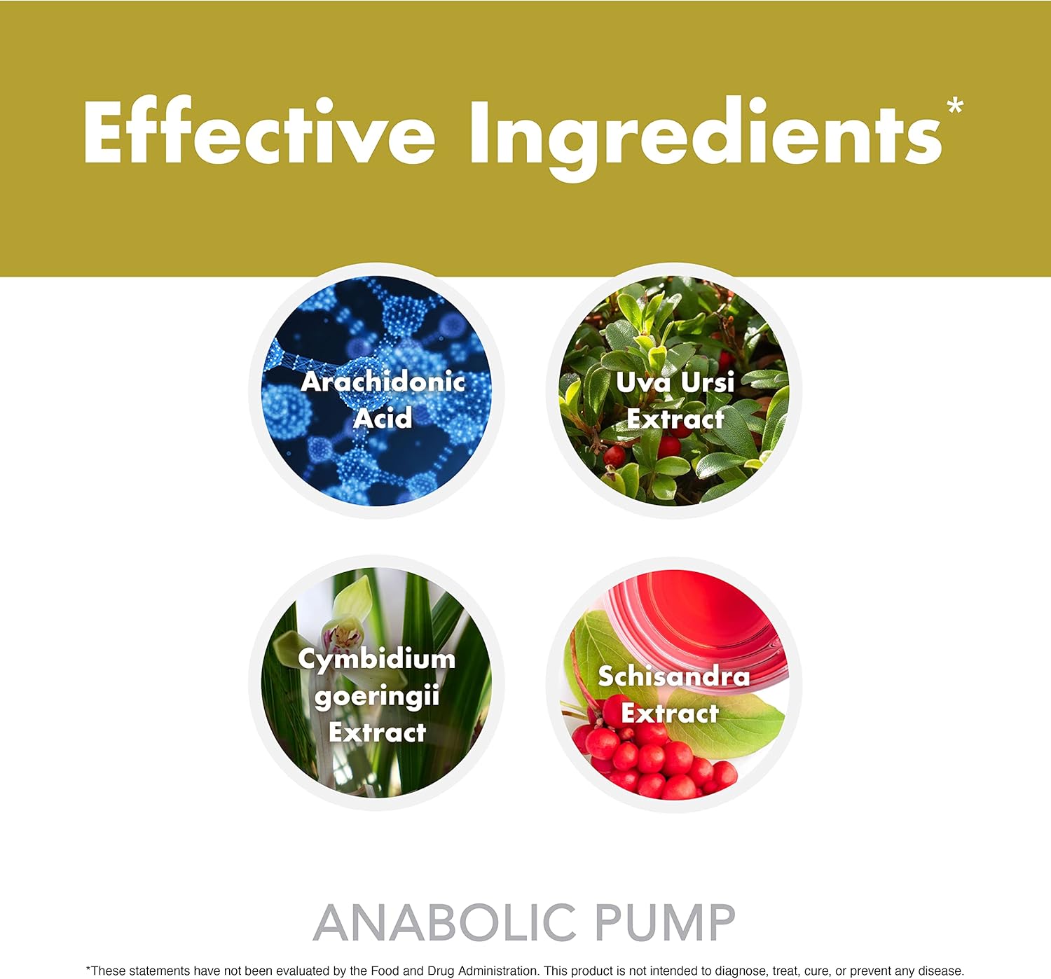 Anabolic Pump, Advanced Pump Formula, Increase Muscle Pumps*, Maximize Nutrient Delivery* (90 Capsules) Nirvana Guru