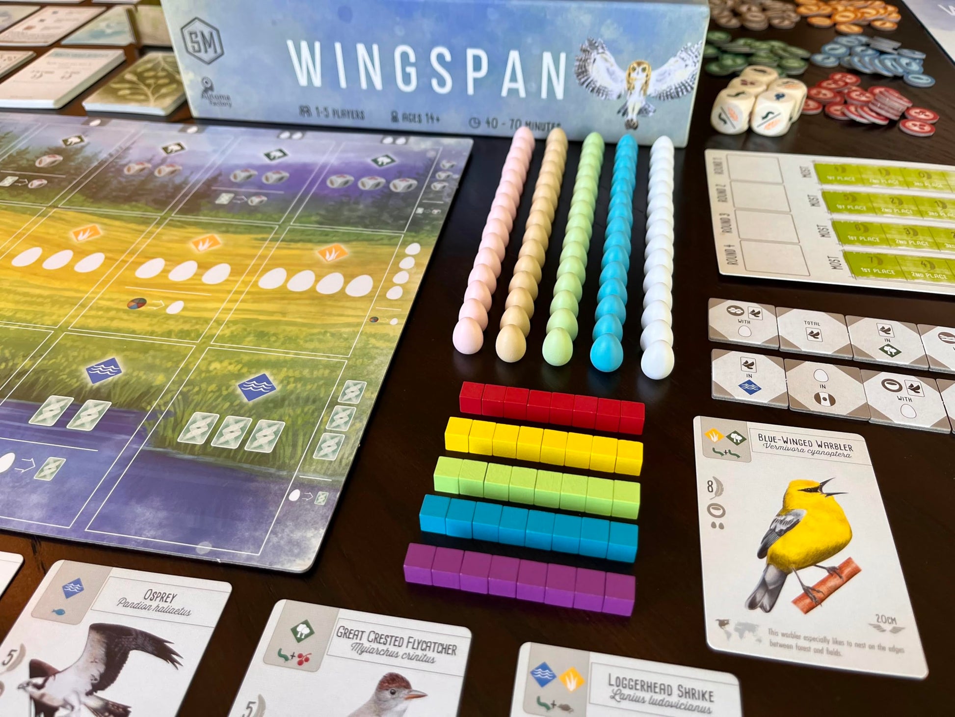 Stonemaier Games: Wingspan (Base Game) by Elizabeth Hargrave | A Relaxing, Award-Winning Strategy Board Game About Birds for Adults and Family | 1-5 Players, 70 Mins, Ages 14+ Nirvana Guru