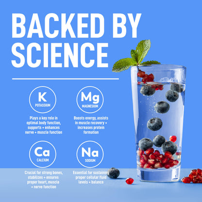 Keppi Electrolytes Powder Packets Assorted Flavors – Sugar Free Hydration Drink Mix with Potassium, Magnesium, Sodium – 30 Hydration Packets – Keto, Vegan, Fasting-Friendly, Zero Calorie - Nirvana Guru