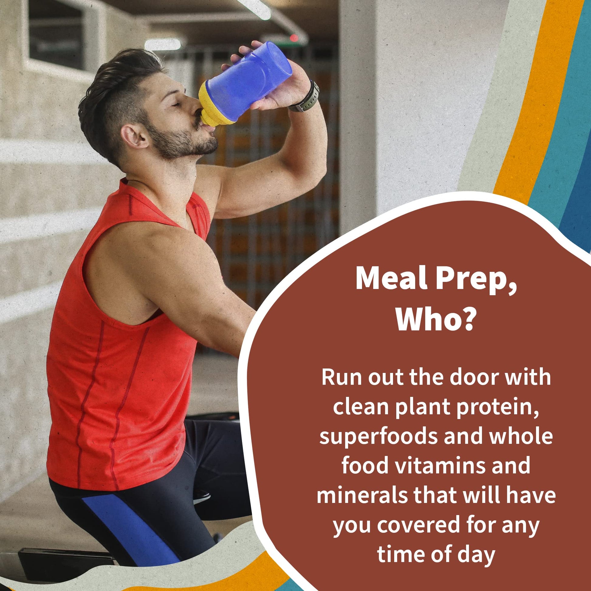Garden of Life Meal Replacement Shakes, Vegan Raw Organic Protein Powder, Chocolate Protein Powder with Plant Based Pea Protein, Sprouts, Greens, Probiotics, Dairy Free 28 Servings - Nirvana Guru