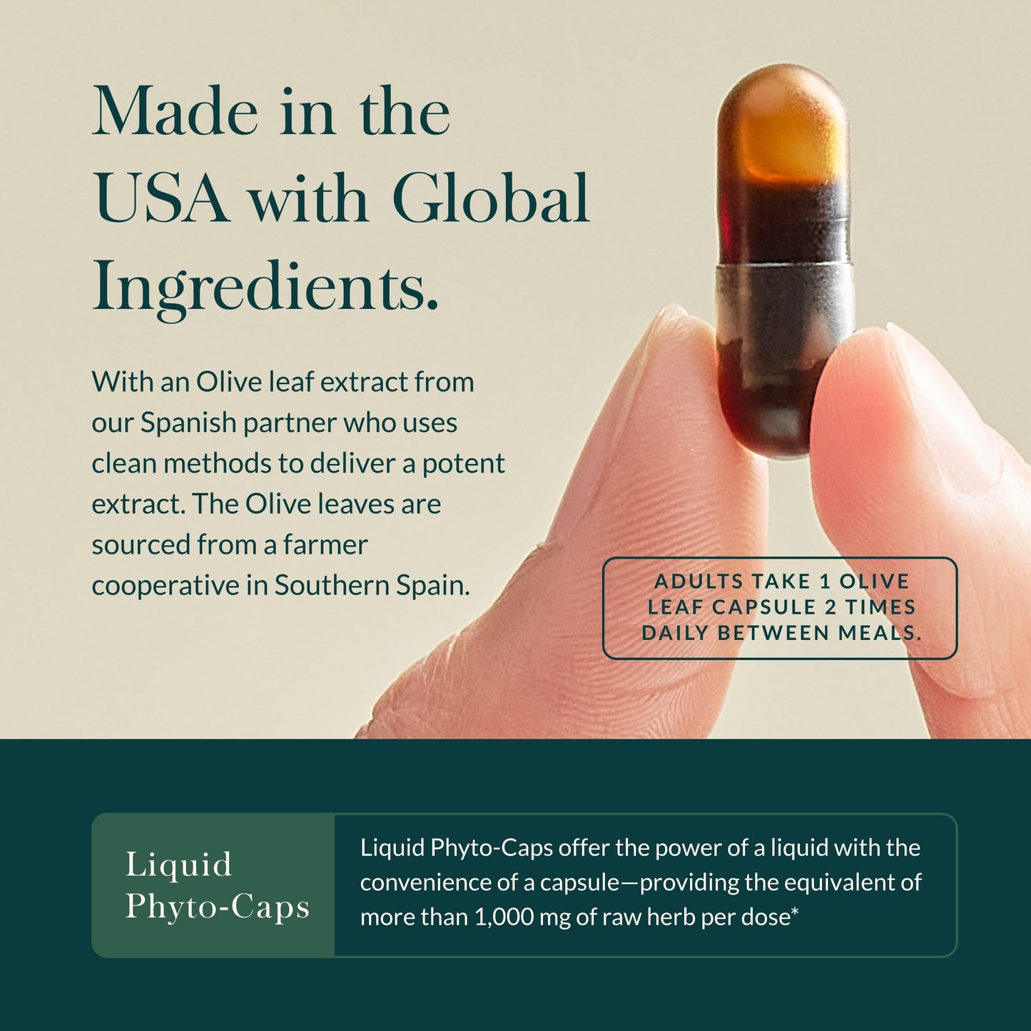Gaia Herbs Olive Leaf - Traditional Immune Health Support - Immune System Supplement with Olive Leaf Extract and Oleuropein - 120 Vegan Liquid Phyto-Caps - Nirvana Guru