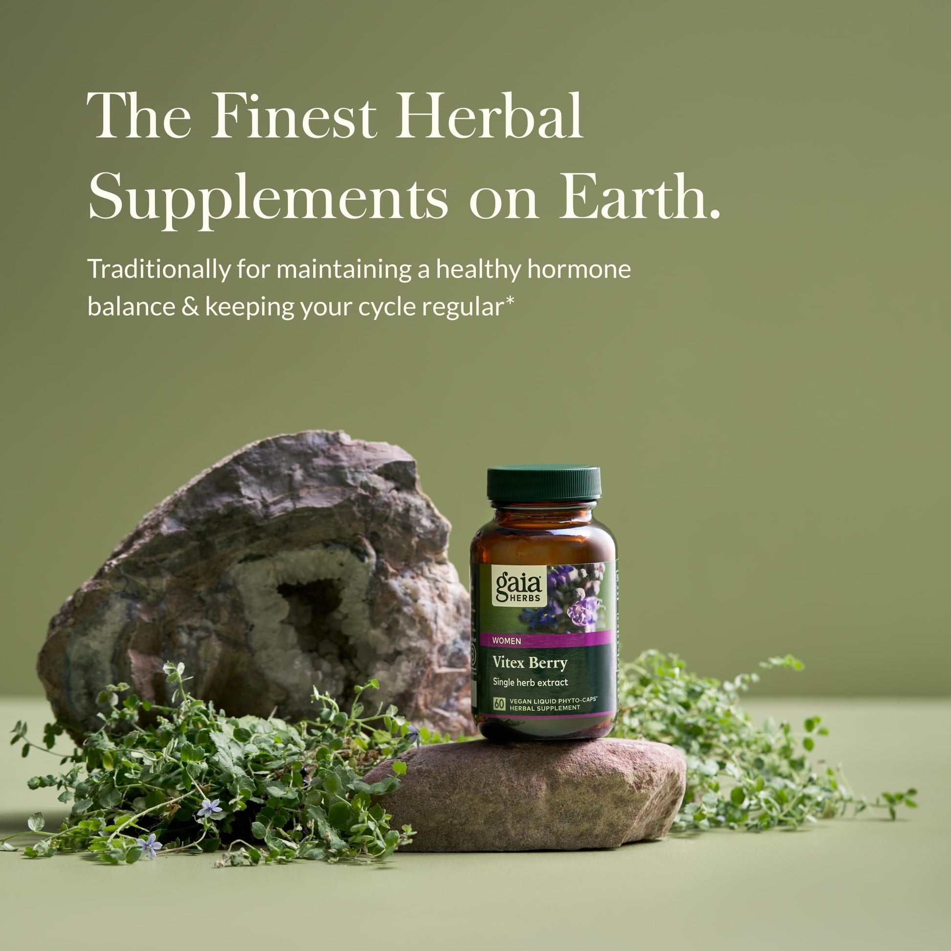 Gaia Herbs Vitex Berry - Supports Hormone Balance & Fertility in Women - 60 Vegan Liquid Phyto-Capsules (30-Day Supply) - Nirvana Guru