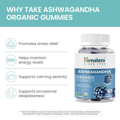 Himalaya Organic Ashwagandha, 120 Day Supply, Herbal Supplement for Stress Relief, Energy, Occasional Sleeplessness, Excipient Free, Organic, Non-GMO, Vegan, Gluten Free, 670 mg, 60 Caplets, 2 Pack - Nirvana Guru