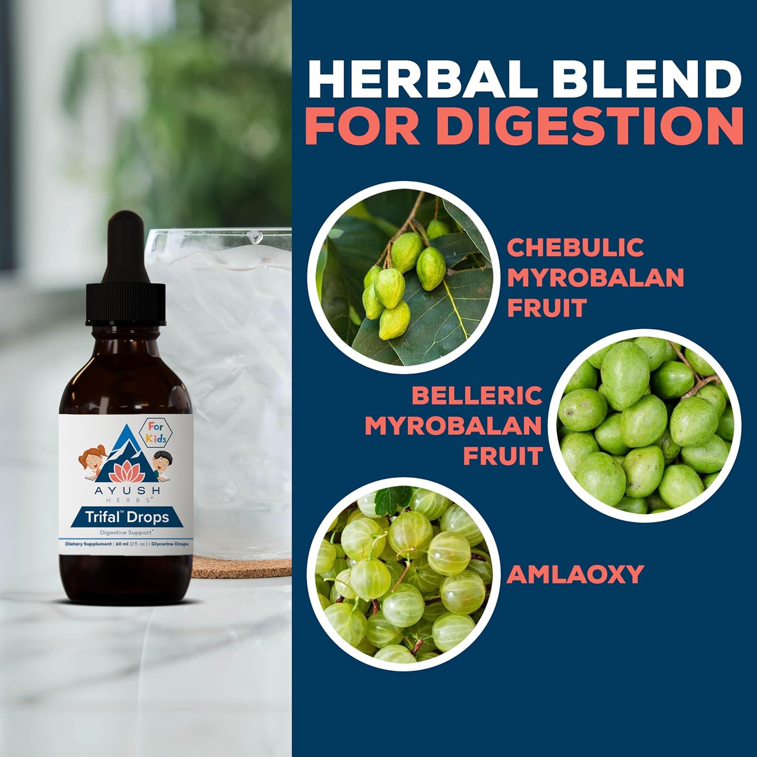 Ayush Herbs Trifal Drops - Digestive & Immune Wellness Booster for Kids, Kids Alcohol Free Digestive Support Drops with Amla for Toddlers, Children - 2 FL Oz Dropper Bottle (80 Servings) Nirvana Guru