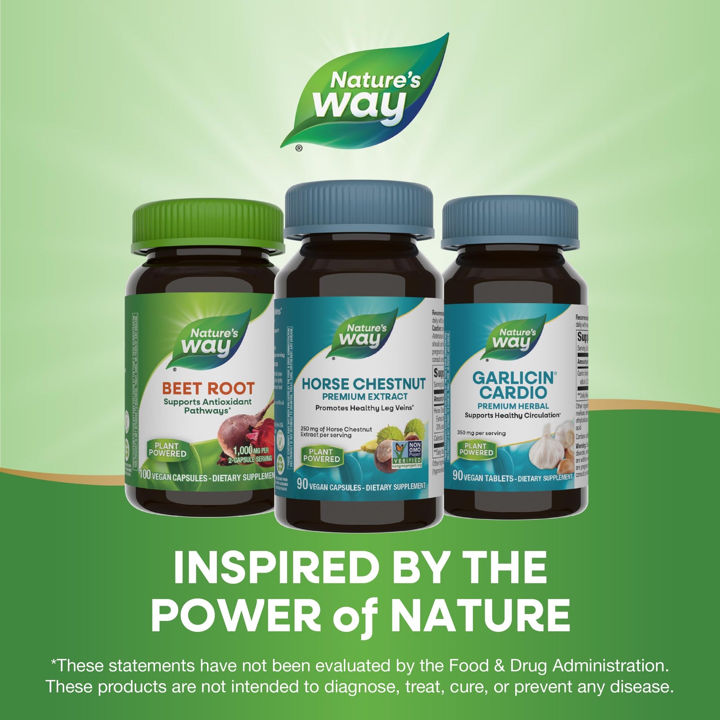 Nature's Way Standardized Horse Chestnut, Premium Extract, Promotes Healthy Leg Veins*, 250 mg per Serving, Vegan, 90 Capsules - Nirvana Guru