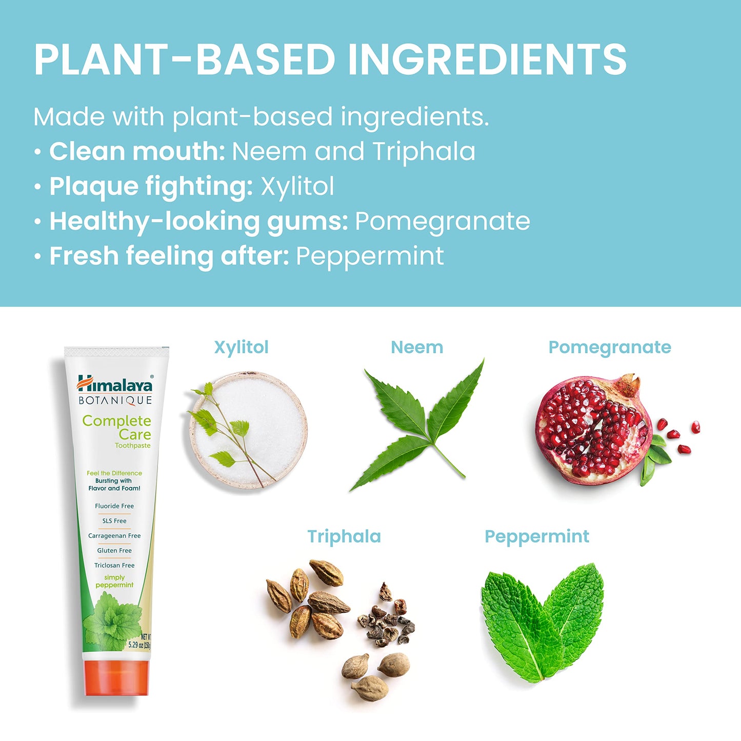 Himalaya Botanique Complete Care Toothpaste, Variety Pack - Fluoride Free Toothpaste for Clean Teeth & Fresh Breath - Vegan, Gluten Free, No Artificial Flavors, 5.29 oz (Pack of 4) - Nirvana Guru