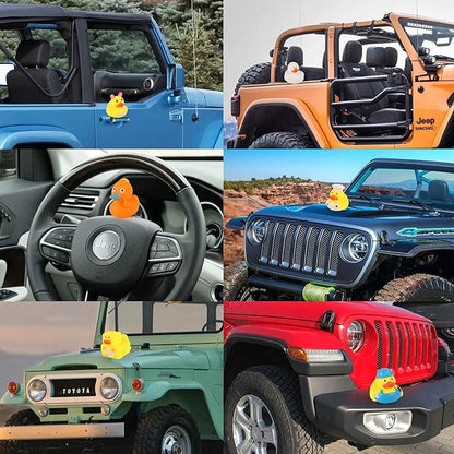 Rubber Ducks in Bulk,Assortment Duckies for Jeep Ducking Floater Duck Bath Toys Party Favors (30-Pack) nirvanaguru