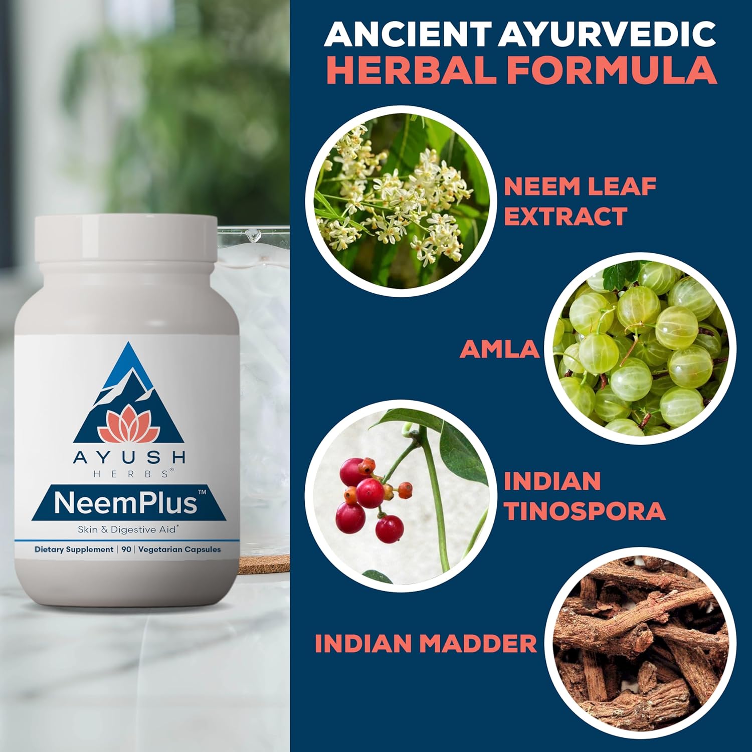 Ayush Herbs Neem Plus - Digestive Health for Women & Men, Gut Support Supplement for Stomach & Skin Health, Immune Support - 90 Vegetarian Capsules (1 Count) Nirvana Guru