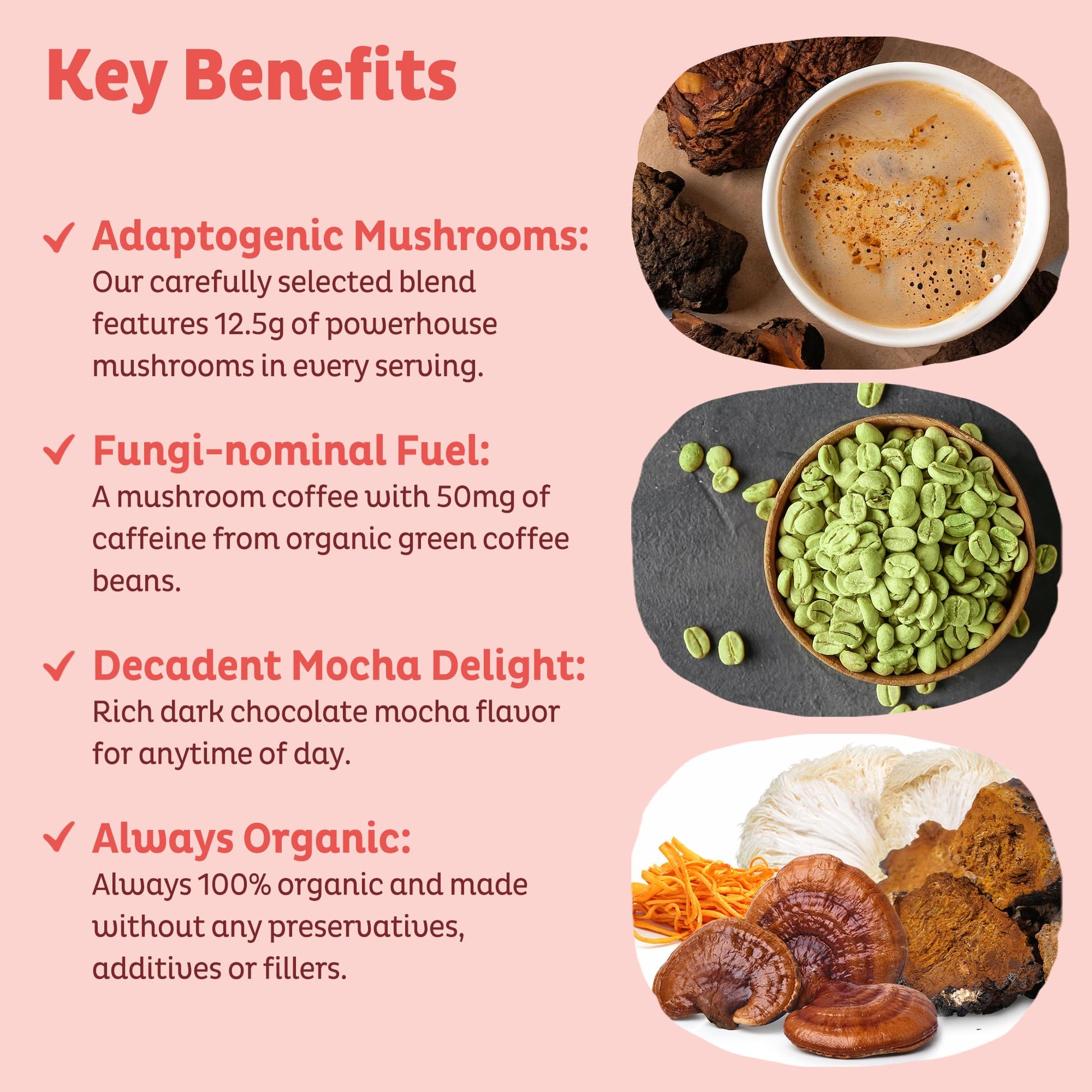 KOS Mushroom Coffee - USDA Certified Organic - Dark Chocolate Mocha Flavor - Mushroom Coffee Latte Powder with Reishi, Cordyceps, Lion's Mane, Chaga & Turkey Tail Mushrooms - Nirvana Guru