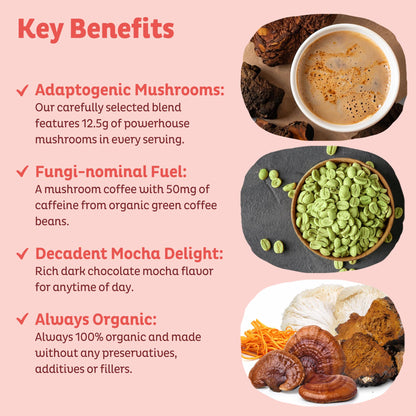 KOS Mushroom Coffee - USDA Certified Organic - Dark Chocolate Mocha Flavor - Mushroom Coffee Latte Powder with Reishi, Cordyceps, Lion's Mane, Chaga & Turkey Tail Mushrooms - Nirvana Guru