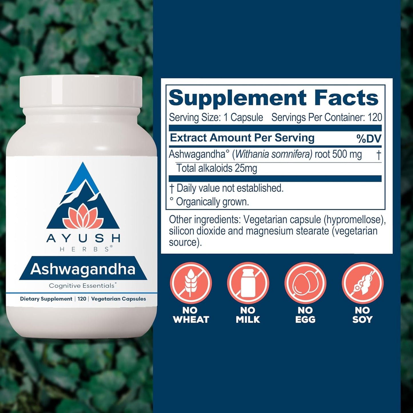 Ayush Herbs Ashwagandha Capsules - Ashwagandha for Men & Women, Ashwagandha Supplements, Pure Ashwagandha Root Powder for Stress, 500mg per Pill - 120 Vegetarian Caplets (1 Count) Nirvana Guru
