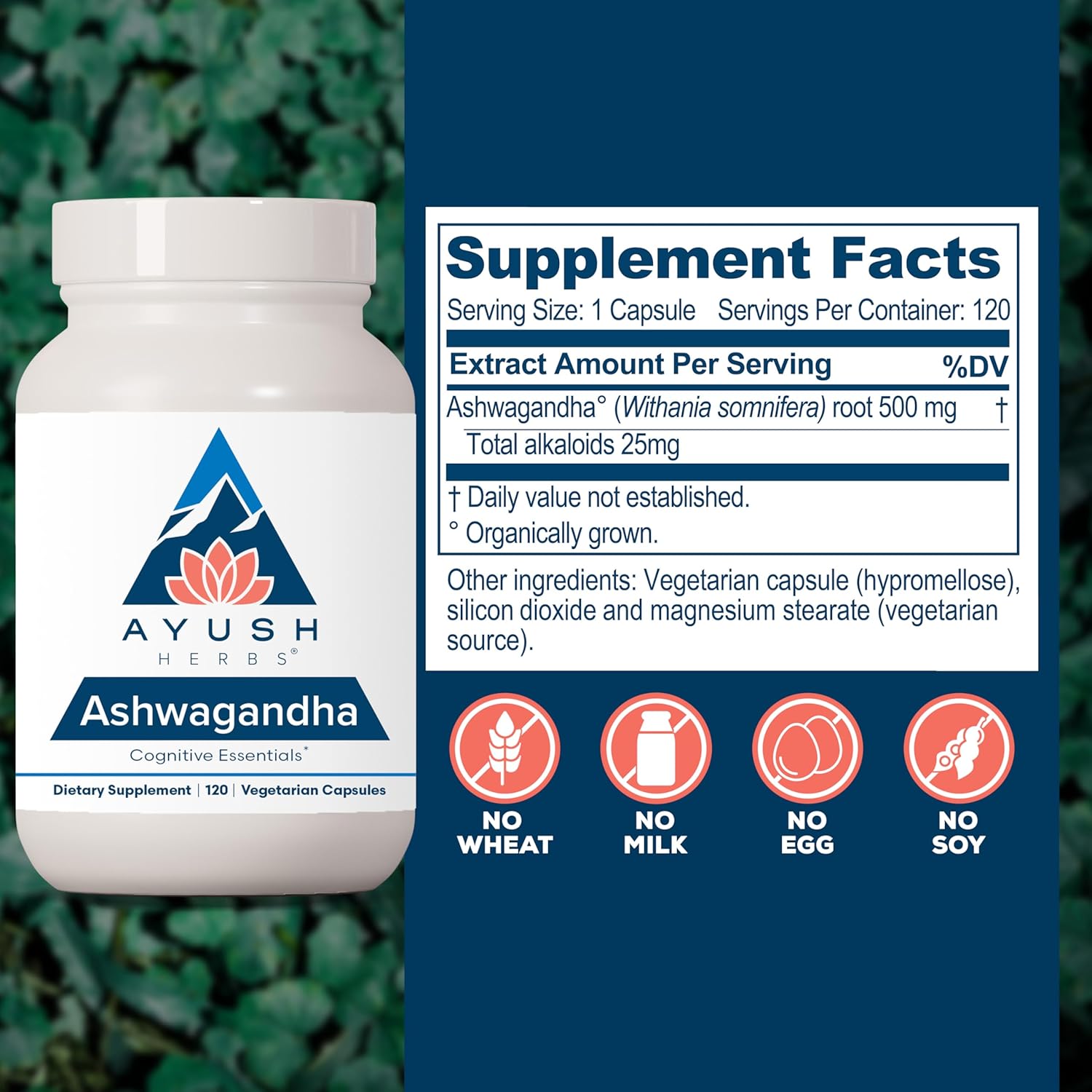 Ayush Herbs Ashwagandha Capsules - Ashwagandha for Men & Women, Ashwagandha Supplements, Pure Ashwagandha Root Powder for Stress, 500mg per Pill - 120 Vegetarian Caplets (1 Count) Nirvana Guru