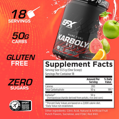 EFX Sports Karbolyn Fuel | Fast-Absorbing Carbohydrate Powder | Carb Load, Sustained Energy, Quick Recovery | Stimulant Free | 39 Servings (Neutral) Nirvana Guru