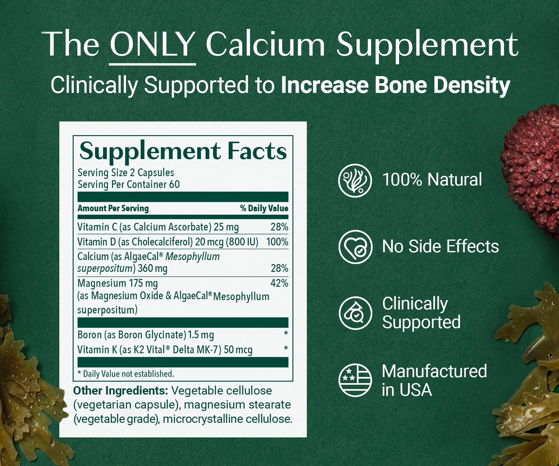 ALGAECAL Organic Red Algae Calcium Supplement for Bone Density, Vitamin K2 MK7 (100mg), Vitamin D3 (1600 IU), Magnesium (350mg) & Trace Minerals & Strength, Easy to Swallow, 120 Veggie Caps Nirvana Guru