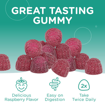 Chapter One Magnesium Gummies for Kids & Adults - Natural Calm Gummies - Calm Magnesium Citrate - Bone and Muscle Function Supplements for Kids & Adults - Mood Support, Kosher Apple Flavor (60) - Nirvana Guru