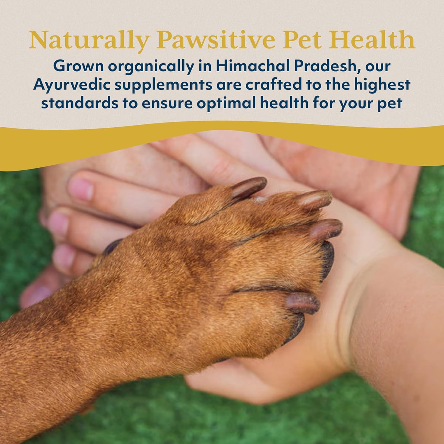 Ayush Pet Stress Support, Ashwagandha Calming Aid for Pets, Promotes Energy and Vitality, 120 Capsules Nirvana Guru