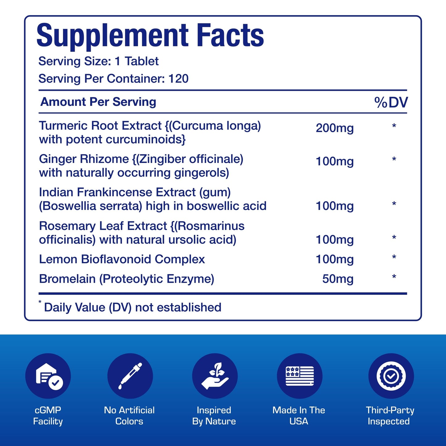 Pro ENZ Joint Support Supplement - Clinical Formula Turmeric Boswellia Supplement for Joint & Cartilage Mobility and Comfort Support Plus Eicosanoid Management with Proteolytic Enzymes (120 Servings) Nirvana Guru