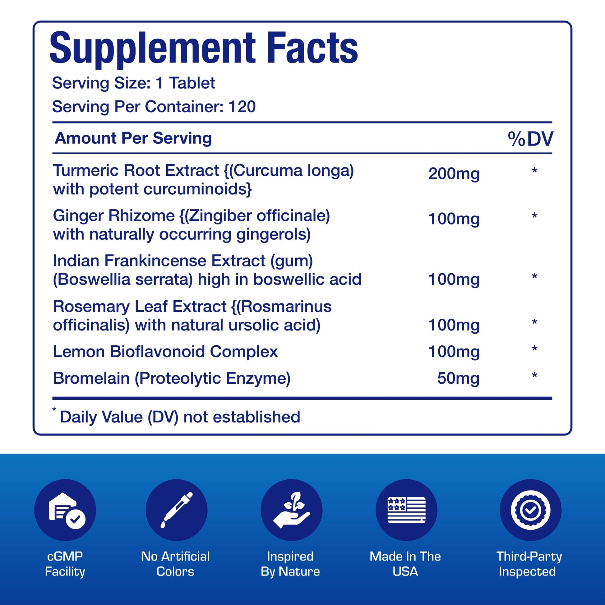 Pro ENZ Joint Support Supplement - Clinical Formula Turmeric Boswellia Supplement for Joint & Cartilage Mobility and Comfort Support Plus Eicosanoid Management with Proteolytic Enzymes (120 Servings) Nirvana Guru