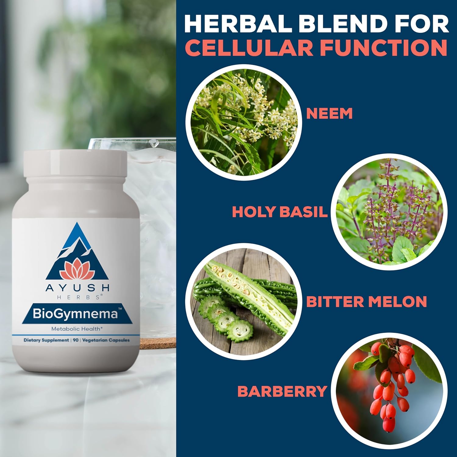 Ayush Herbs BioGymnema - Metabolic Vitamin & Herb Blend, Metabolic Health Supplement for Women & Men with Biotin, Berberine, Bitter Melon & Gymnema, Nutrient Support - 90 Vegetarian Capsules (1 Count) Nirvana Guru