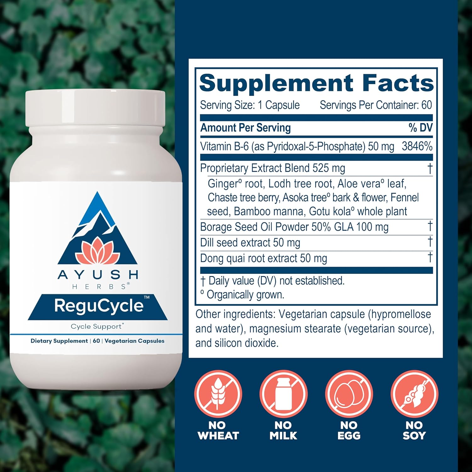 Ayush Herbs Regu-Cycle - Hormone Balance for Women, Hormonal Support, Period Support & Relief, Reproductive Health, Regulate Menstrual Cycle, Ovarian Support Supplement - 60 Vegetarian Capsules Nirvana Guru