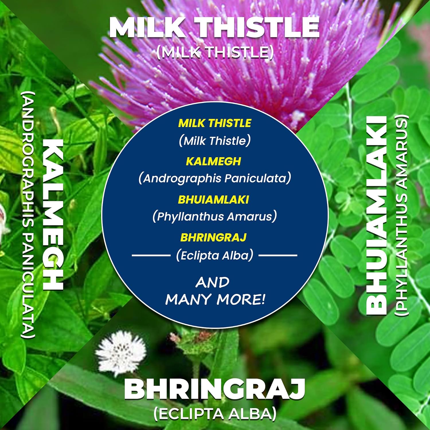 Liver Support Herbal Ayurvedic Supplement, Supports Healthy Liver, Blend of 13 Powerful Herbs, Vegan, Gluten-Free, 60 Caplets Nirvana Guru