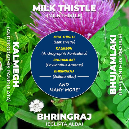 Liver Support Herbal Ayurvedic Supplement, Supports Healthy Liver, Blend of 13 Powerful Herbs, Vegan, Gluten-Free, 60 Caplets Nirvana Guru
