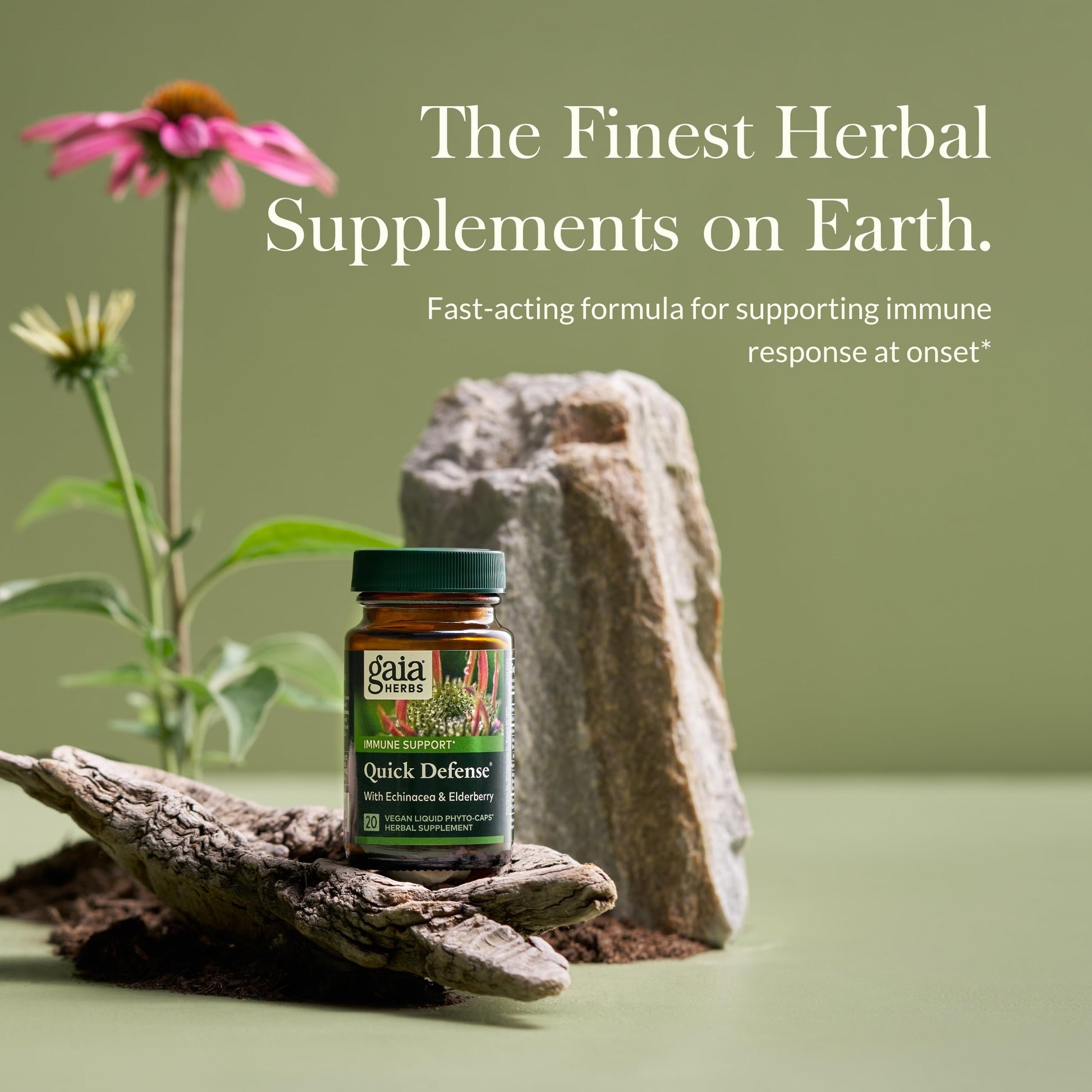 Gaia Herbs Quick Defense - Fast-Acting Immune Support Supplement for Use at Onset of Symptoms - with Echinacea, Black Elderberry, Ginger & Andrographis - 80 Vegan Liquid Phyto-Capsules (8-Day Supply) - Nirvana Guru