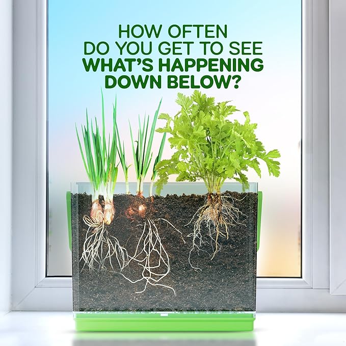 Dan&Darci Root Viewer Kit for Kids - Grow Your Own Plant for Boys & Girls Gifts - Science STEM Toy & Craft Growing Kits for Ages 4-8 Birthday Gifts for Boy, Girl 4, 5, 6, 7, 8, Year Old - Gardening nirvanaguru