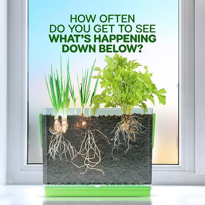 Dan&Darci Root Viewer Kit for Kids - Grow Your Own Plant for Boys & Girls Gifts - Science STEM Toy & Craft Growing Kits for Ages 4-8 Birthday Gifts for Boy, Girl 4, 5, 6, 7, 8, Year Old - Gardening nirvanaguru