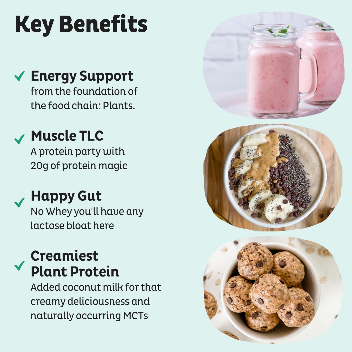 KOS Vegan Protein Powder Erythritol Free, Vanilla USDA Organic - Pea Protein Blend, Plant Based Superfood Rich in Vitamins & Minerals - Keto, Dairy Free - Meal Replacement for Women & Men, 28 Servings - Nirvana Guru
