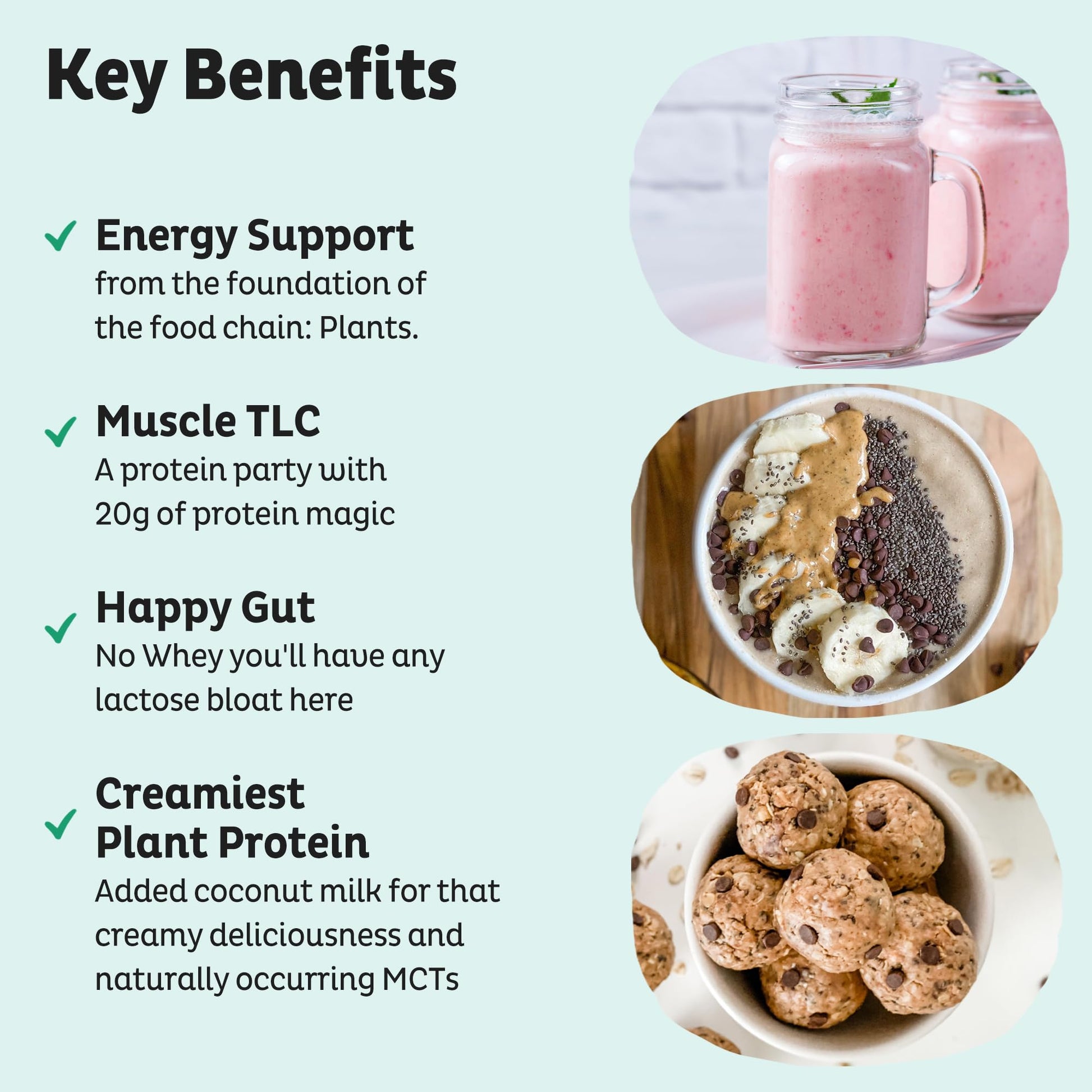 KOS Vegan Protein Powder Erythritol Free, Vanilla USDA Organic - Pea Protein Blend, Plant Based Superfood Rich in Vitamins & Minerals - Keto, Dairy Free - Meal Replacement for Women & Men, 28 Servings - Nirvana Guru