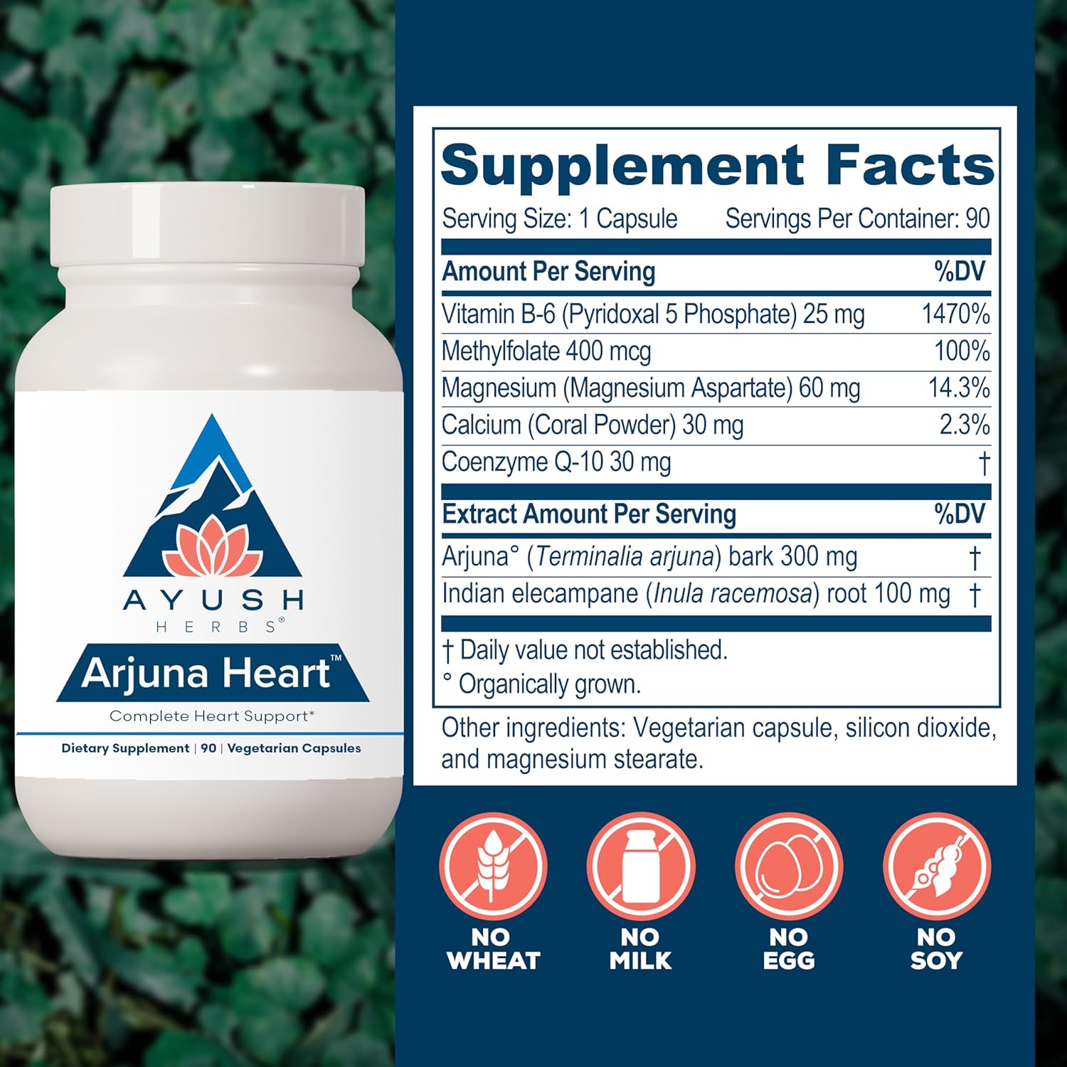 Ayush Herbs Arjuna Heart, Herbal Supplement for Heart Support, Heart-Protection Capsules for Men and Women, 90 Vegetarian Capsules Nirvana Guru