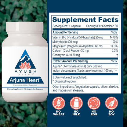 Ayush Herbs Arjuna Heart, Herbal Supplement for Heart Support, Heart-Protection Capsules for Men and Women, 90 Vegetarian Capsules Nirvana Guru
