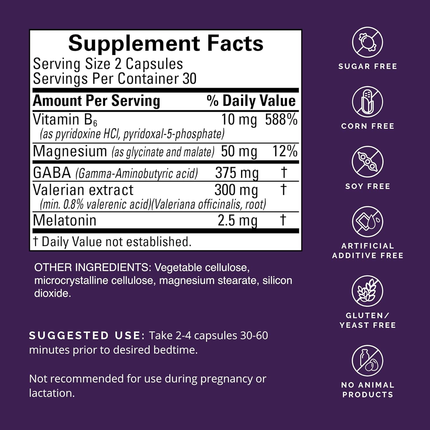BRAINMD Dr Amen Restful Sleep - 60 Vegan Capsules - with Melatonin, Valerian Extract, GABA & Magnesium - Non-Habit Forming - 60 Total Servings - Pack of 2 Nirvana Guru