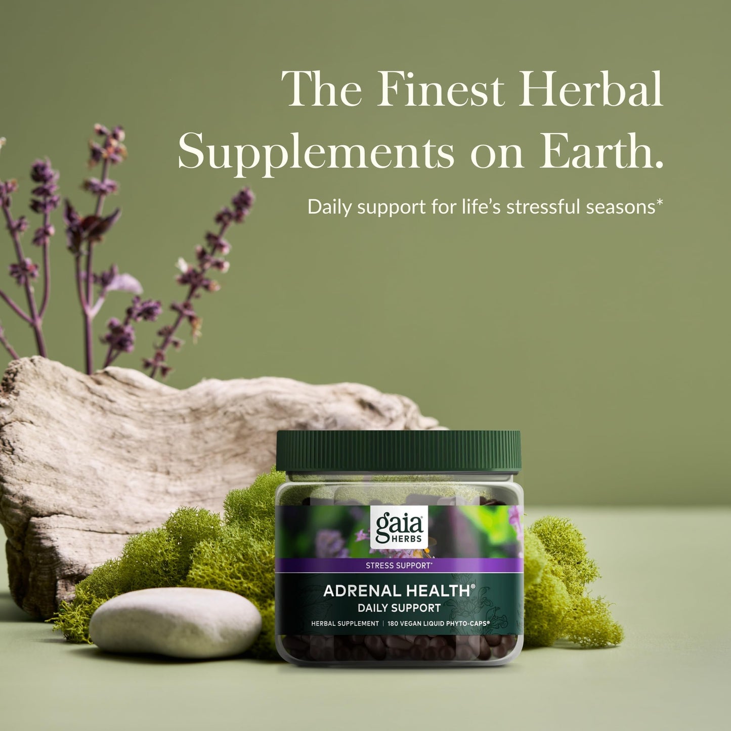 Gaia Herbs Adrenal Health Daily Support - with Ashwagandha, Holy Basil & Schisandra - Herbal Supplement to Help Maintain Healthy Energy & Stress Levels - 120 Vegan Liquid Phyto-Capsules (120 Count) - Nirvana Guru