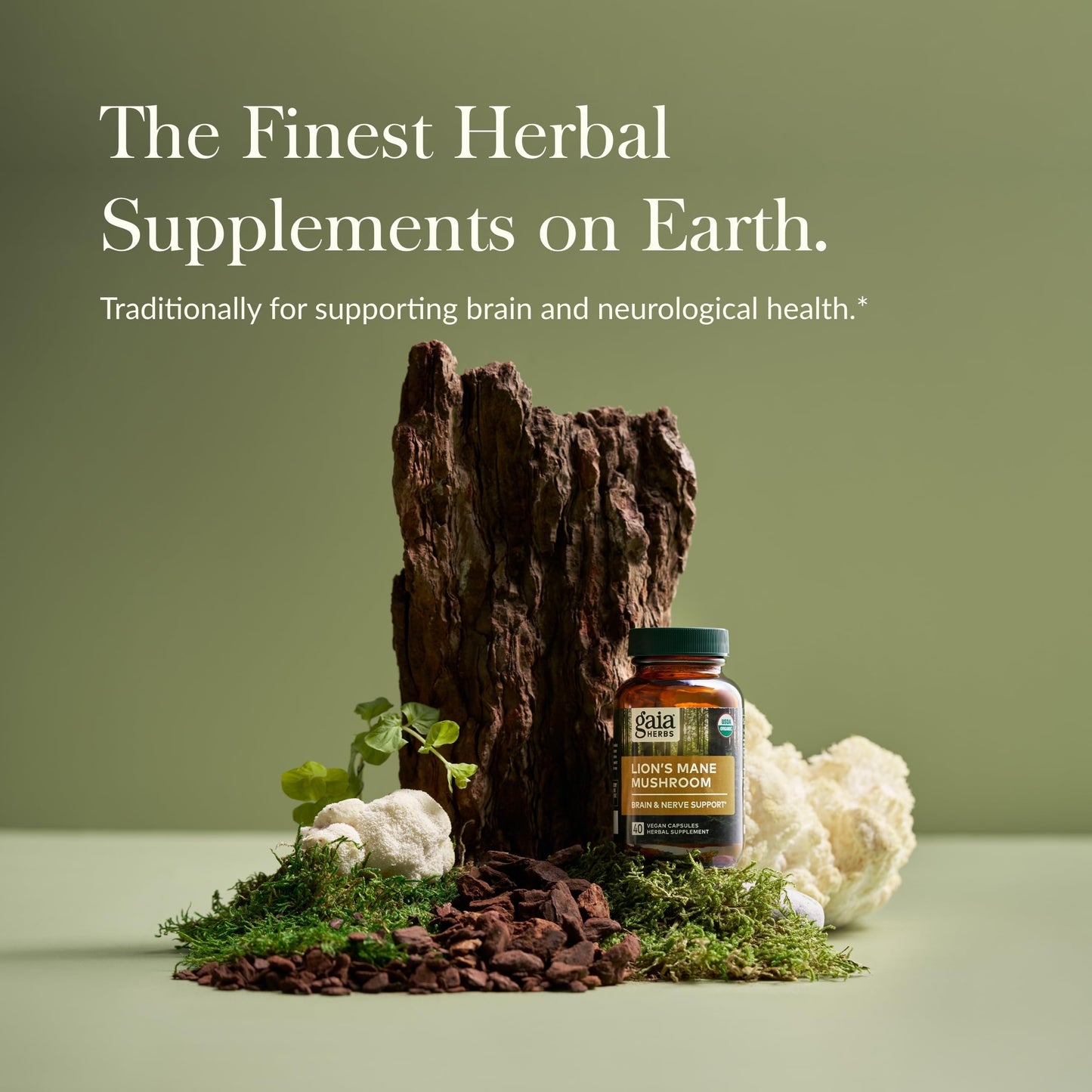 Gaia Herbs Lion’s Mane Mushroom - Brain & Nerve Health Support - 40 Vegan Capsules - Nirvana Guru