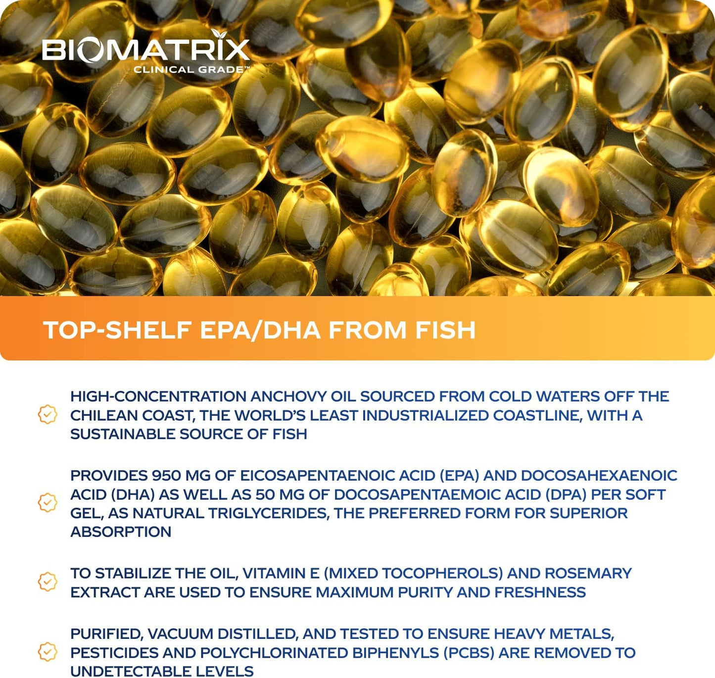 Support Omega (120 Gel Capsules) Omega 3 Fish Oil Supplement - Cardiovascular, Musculoskeletal Support Nirvana Guru