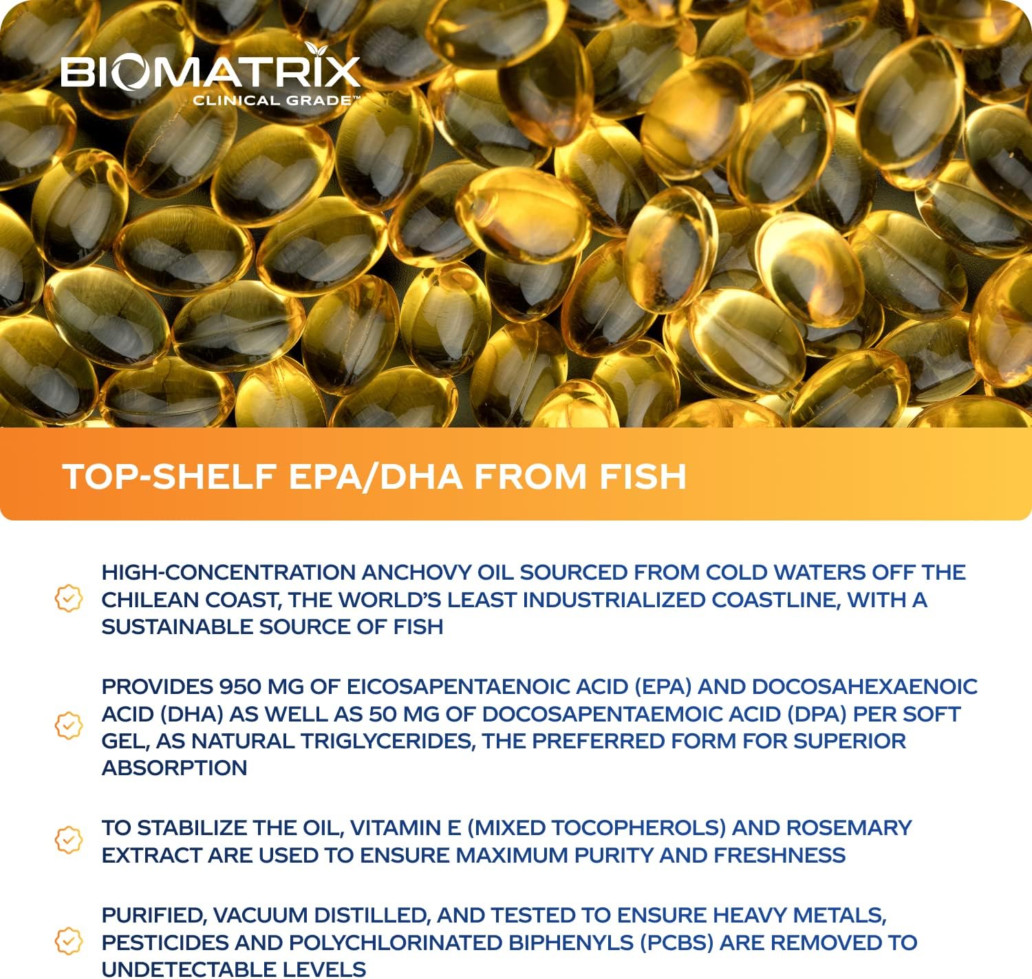 Support Omega (120 Gel Capsules) Omega 3 Fish Oil Supplement - Cardiovascular, Musculoskeletal Support Nirvana Guru