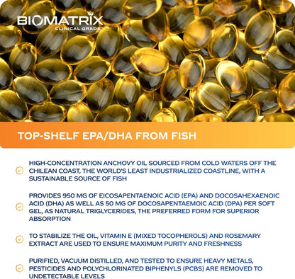 Support Omega (120 Gel Capsules) Omega 3 Fish Oil Supplement - Cardiovascular, Musculoskeletal Support Nirvana Guru