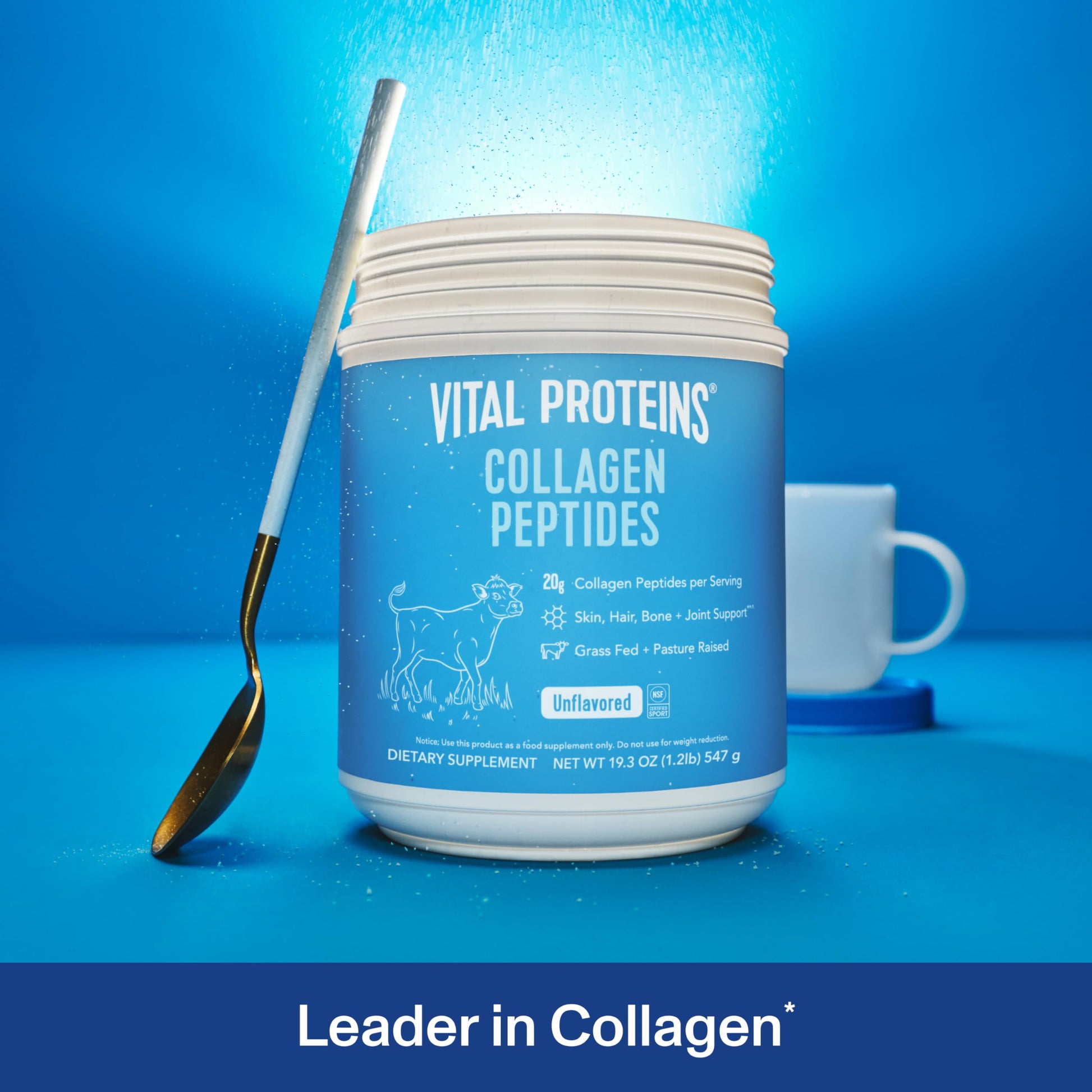 Vital Proteins Collagen Peptides Powder - Supports Hair, Nail, Skin, Bone & Joint Health, Unflavored, Collagen Protein 9.33 OZ - Nirvana Guru