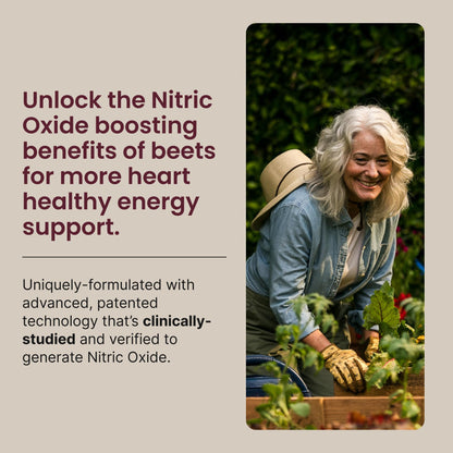 HumanN SuperBeets Beet Root Powder - Non-GMO Beetroot Superfood - Nitric Oxide Supplement for Heart Health, Circulation & Blood Pressure Support - Black Cherry, 30 Servings - Nirvana Guru