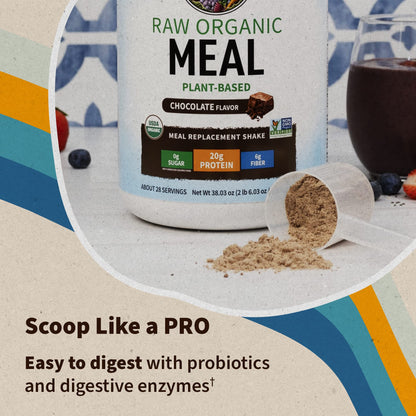 Garden of Life Meal Replacement Shakes, Vegan Raw Organic Protein Powder, Chocolate Protein Powder with Plant Based Pea Protein, Sprouts, Greens, Probiotics, Dairy Free 28 Servings - Nirvana Guru